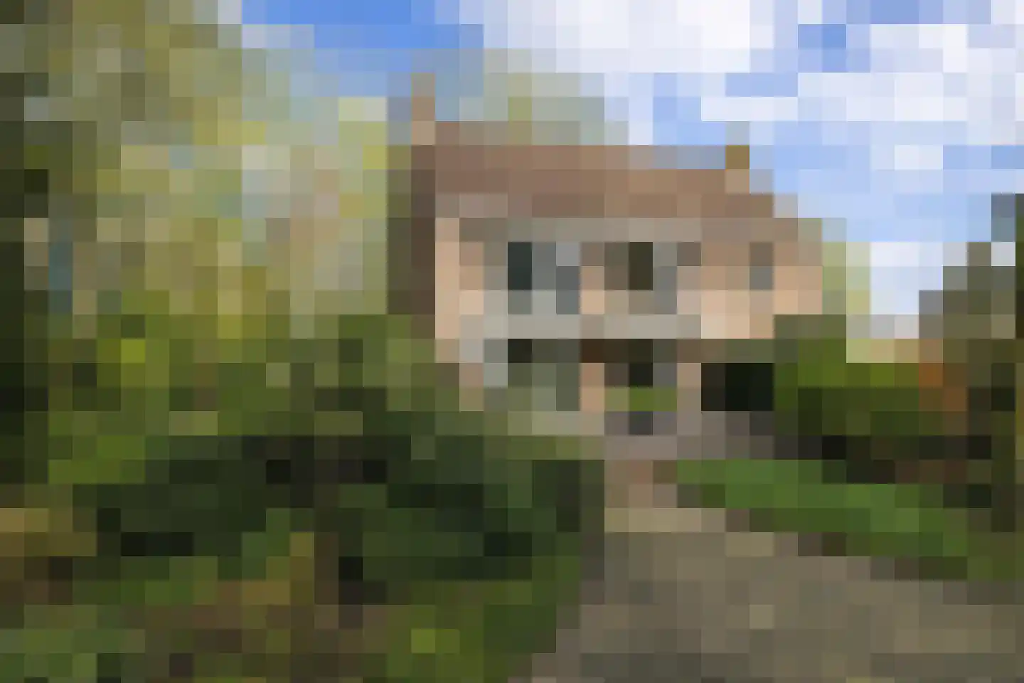 Ridderstraat 37 Oosterhout thumbnail 45