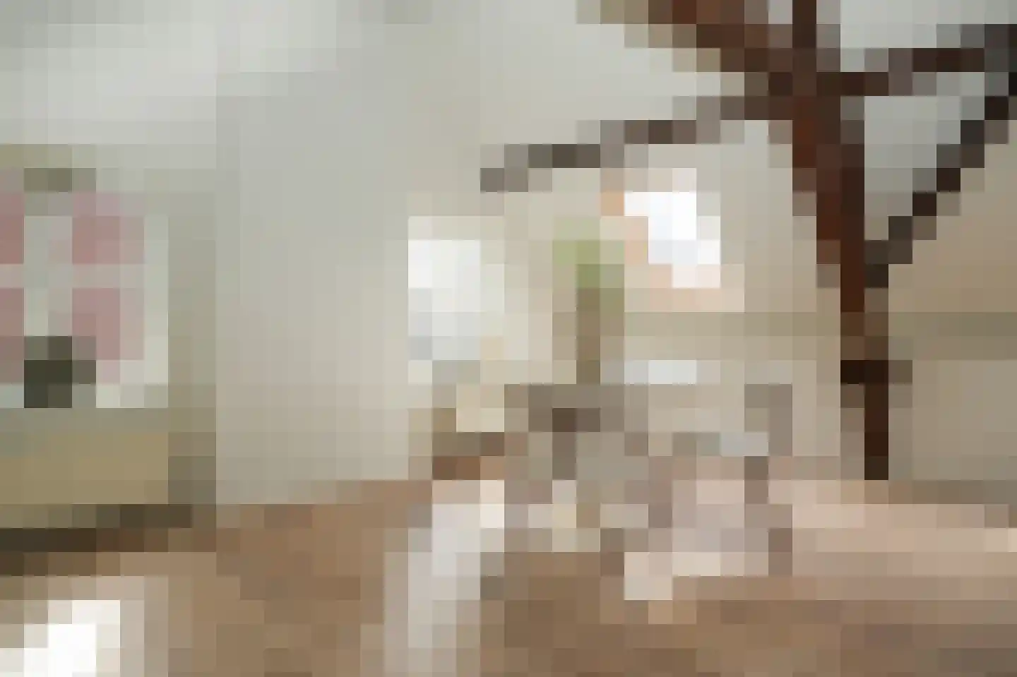 Ridderstraat 4 b Culemborg thumbnail 14