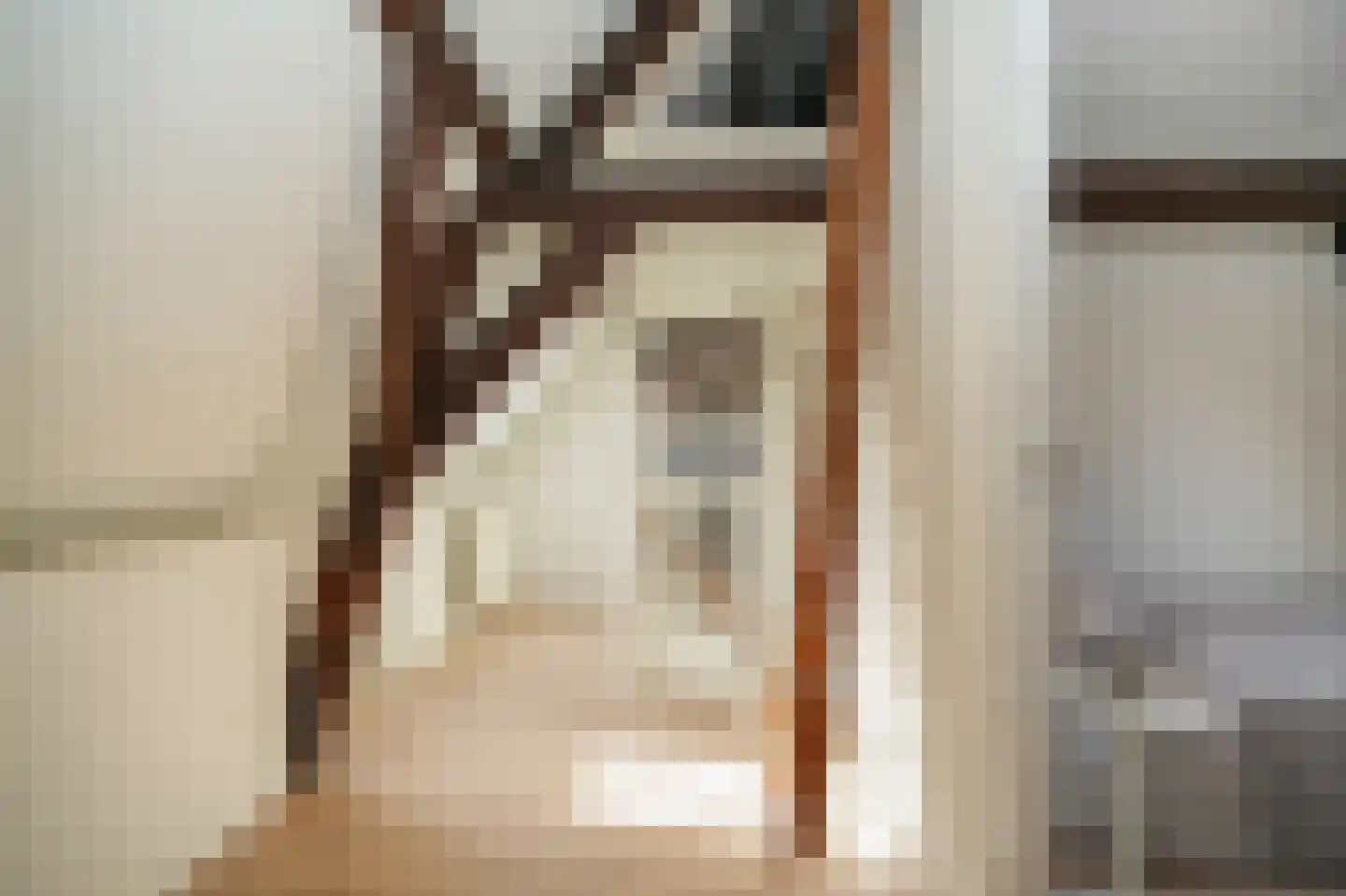 Ridderstraat 4 b Culemborg thumbnail 24