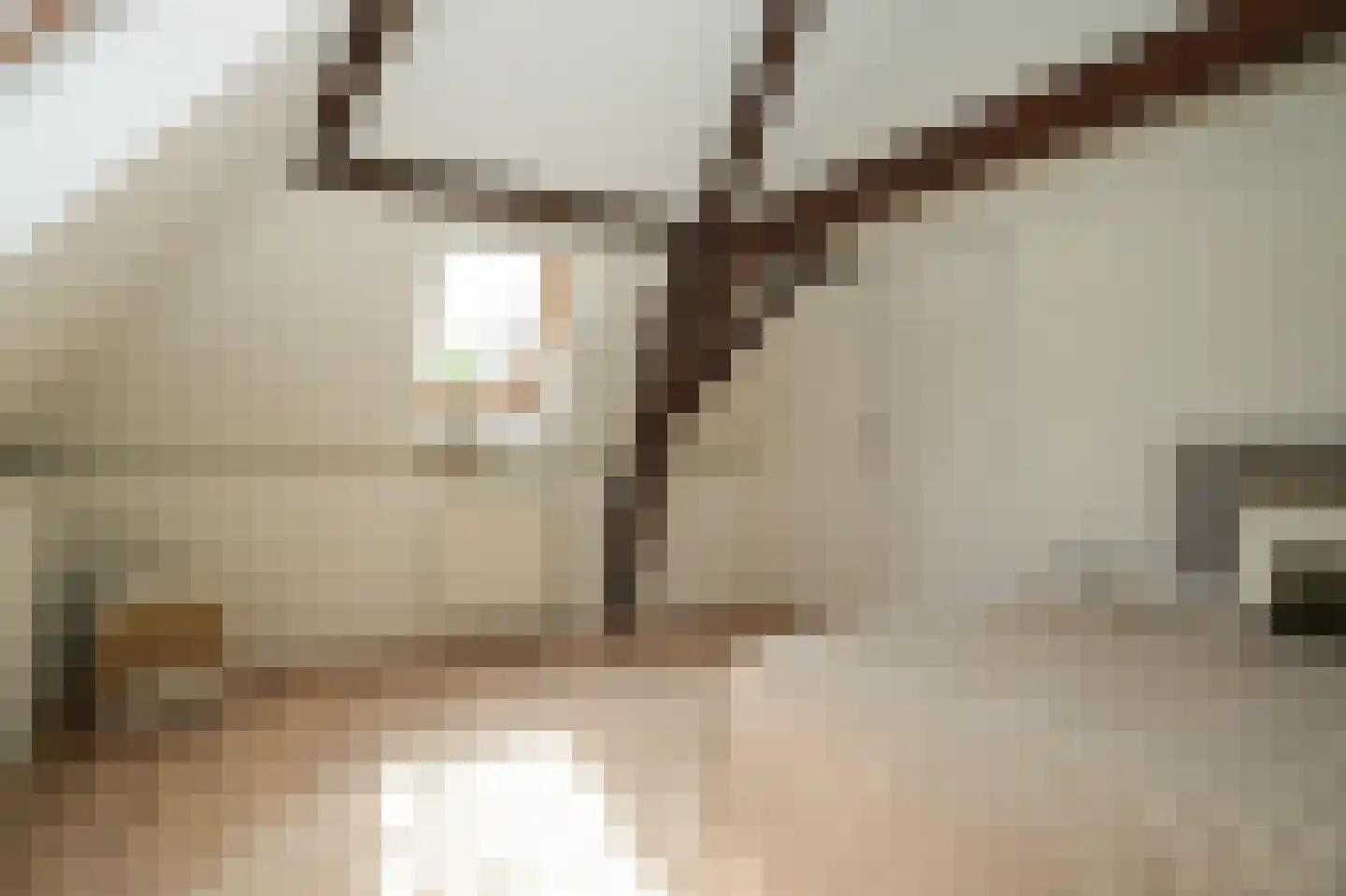 Ridderstraat 4 b Culemborg thumbnail 27