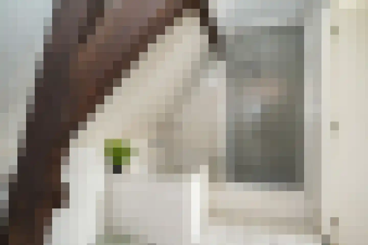 Ridderstraat 4 b Culemborg thumbnail 32