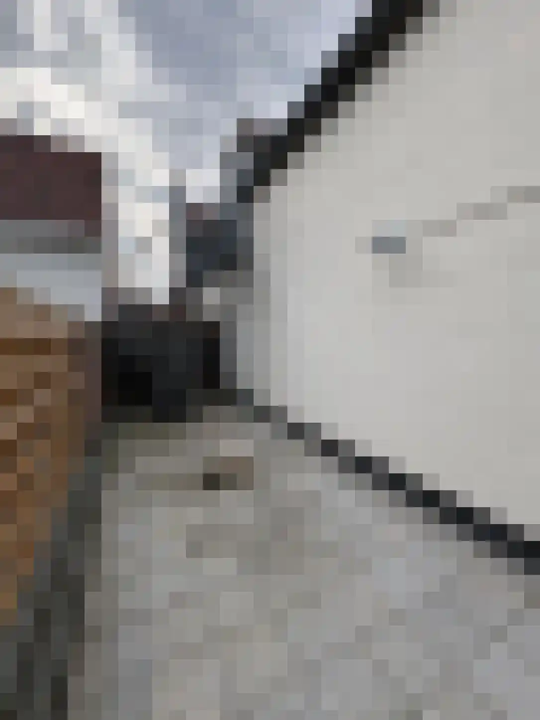 Ridderstraat 4 b Culemborg thumbnail 38