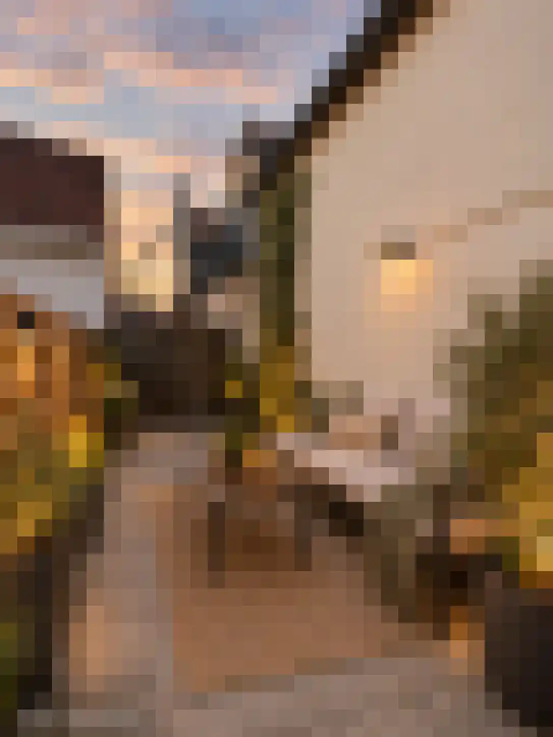 Ridderstraat 4 b Culemborg thumbnail 39
