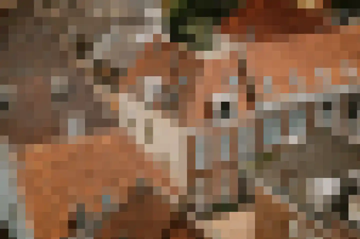 Ridderstraat 4 b Culemborg thumbnail 5