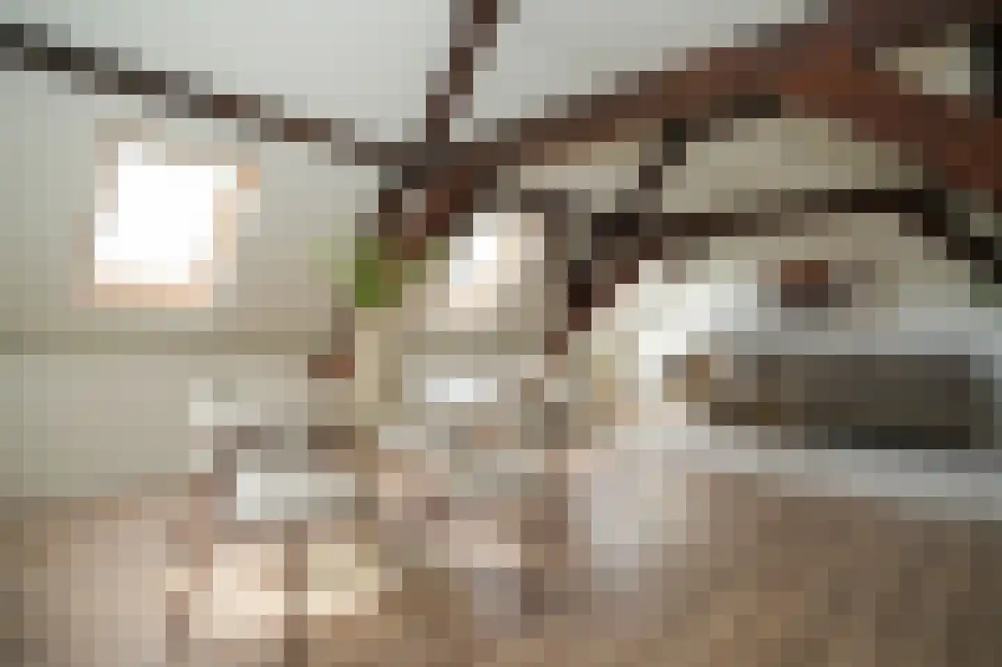 Ridderstraat 4 b Culemborg thumbnail 7