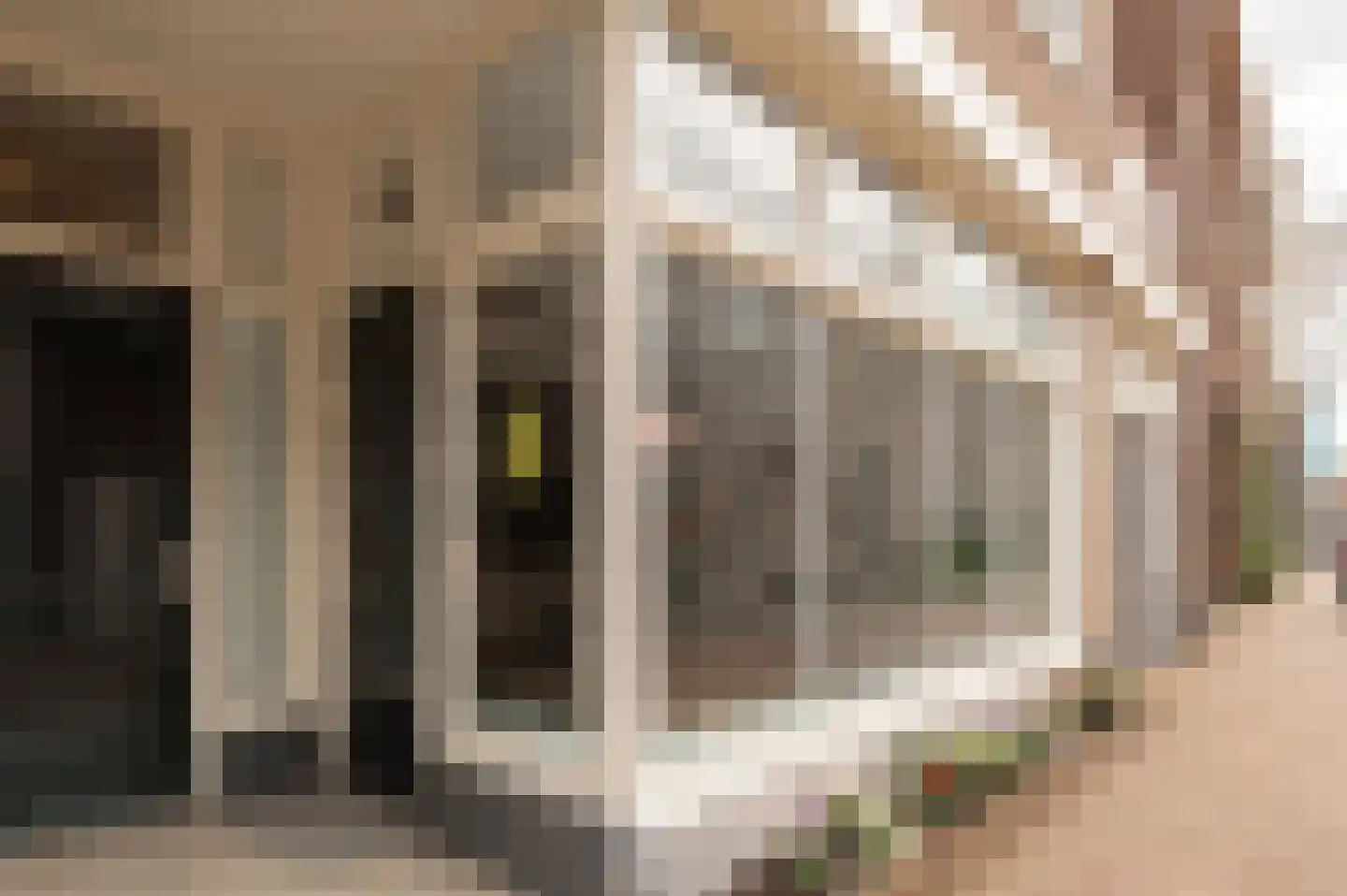 Ridderstraat 4 Culemborg thumbnail 32