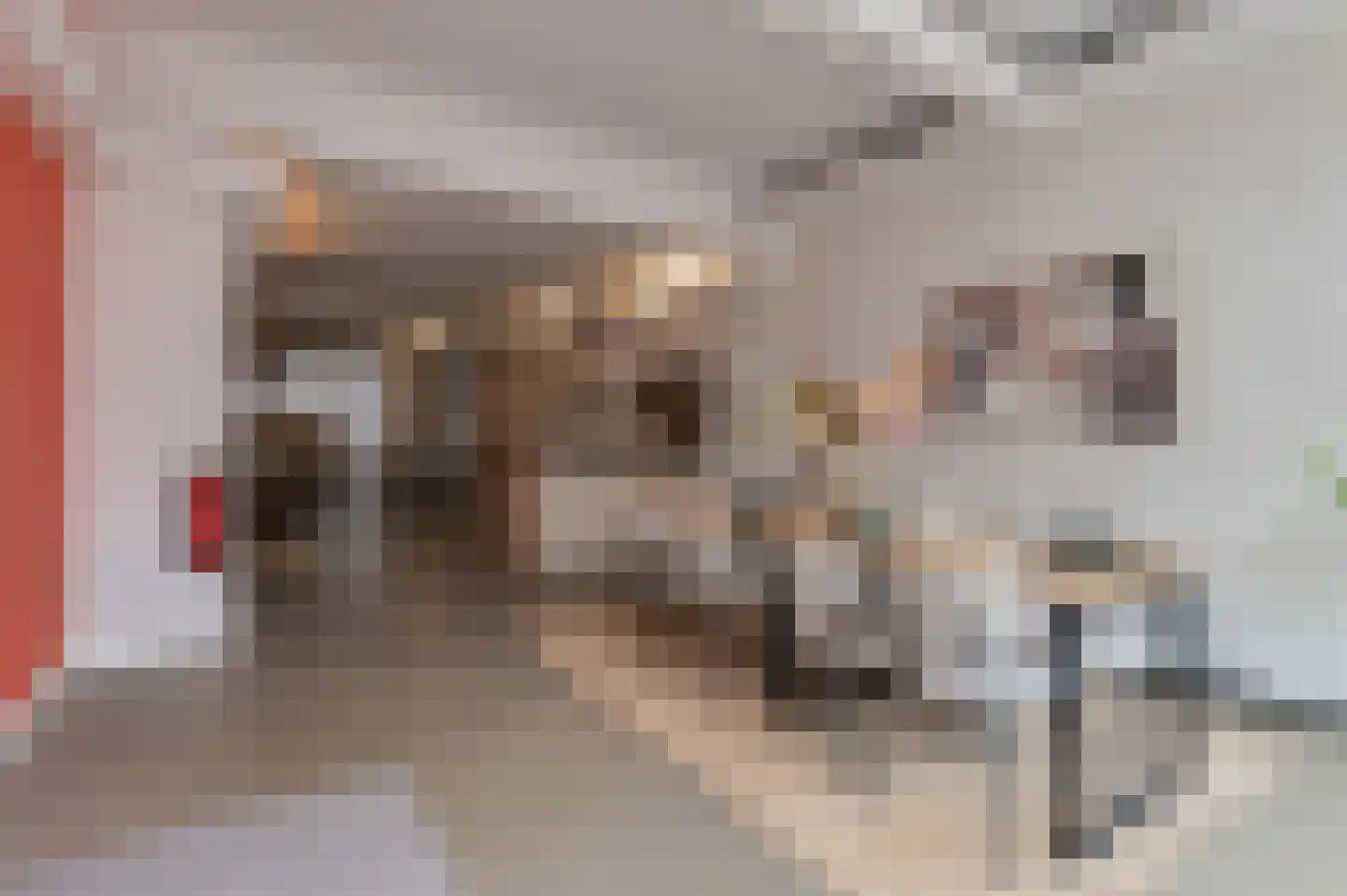 Ridderstraat 4 Culemborg thumbnail 7