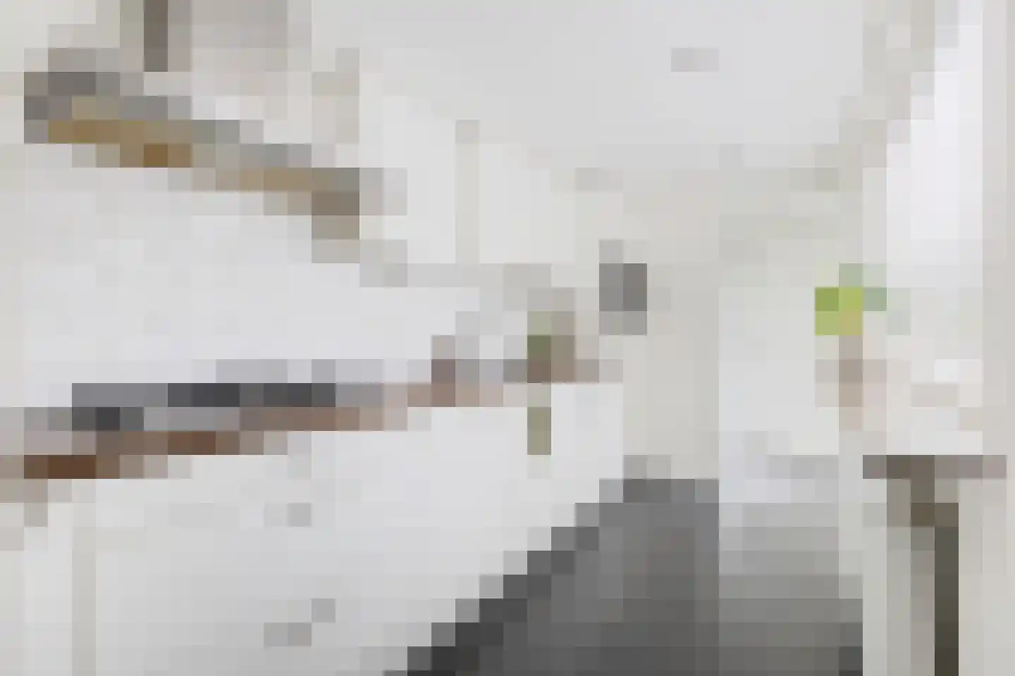 Ridderstraat 40 Tilburg thumbnail 13