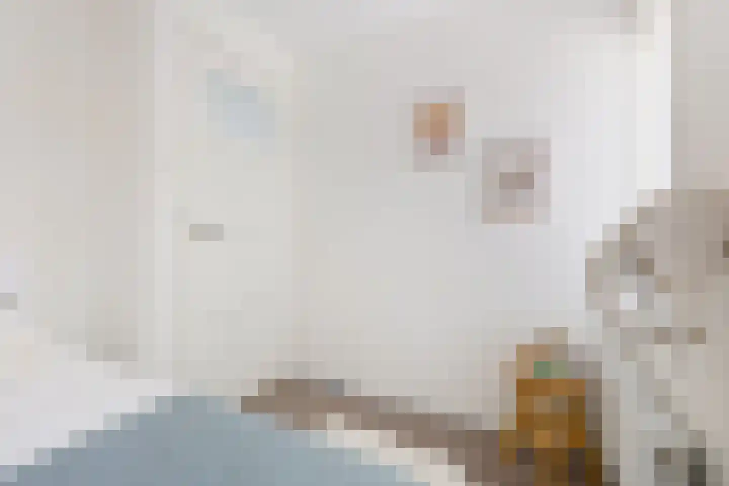 Ridderstraat 40 Tilburg thumbnail 20