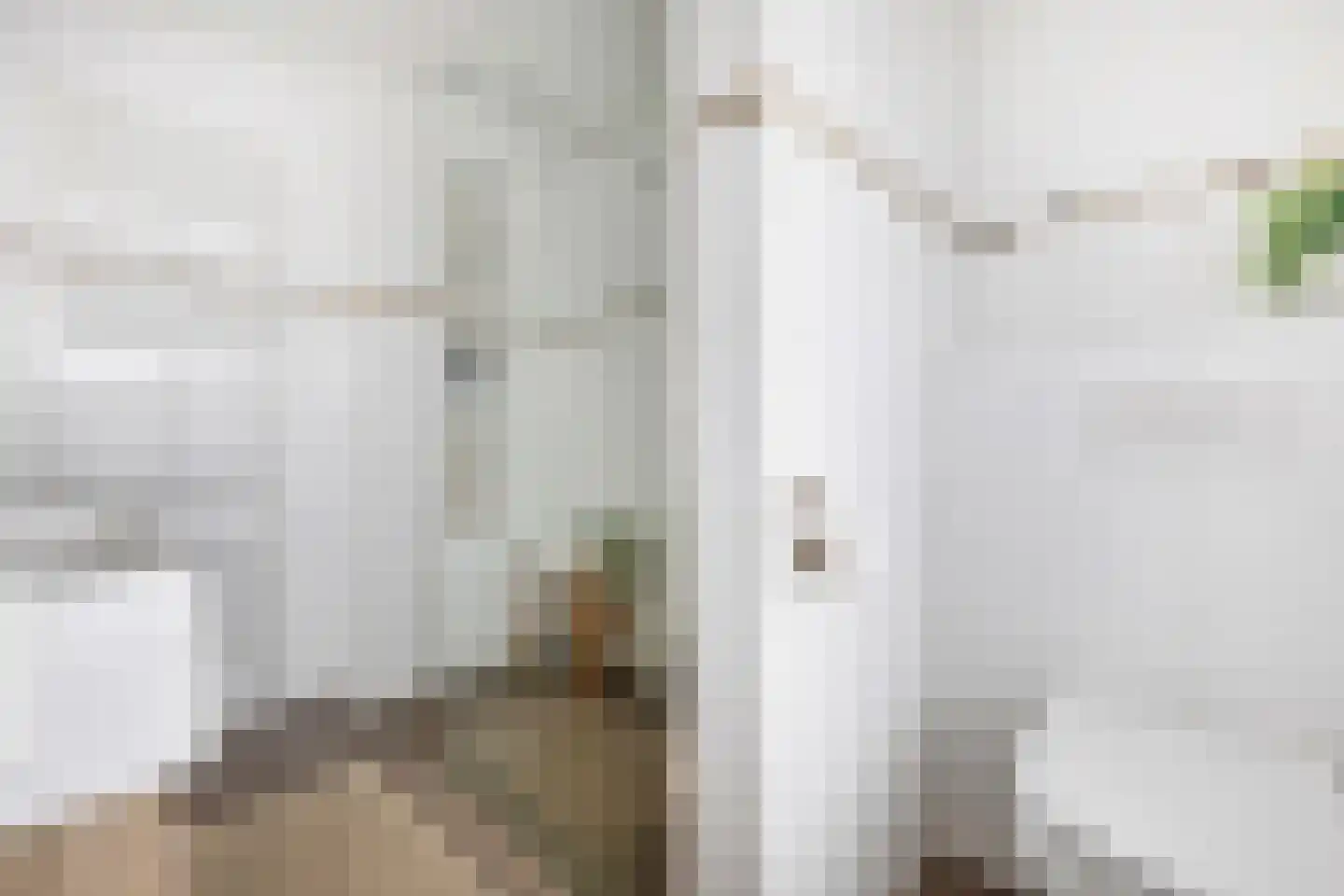 Ridderstraat 40 Tilburg thumbnail 22