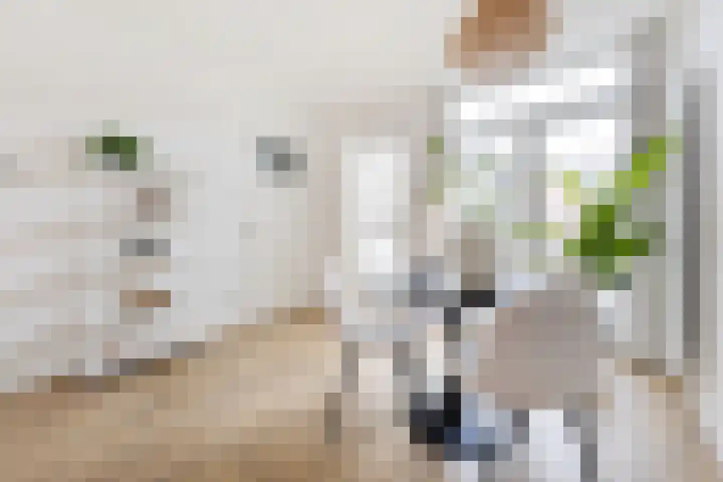 Ridderstraat 40 Tilburg thumbnail 9