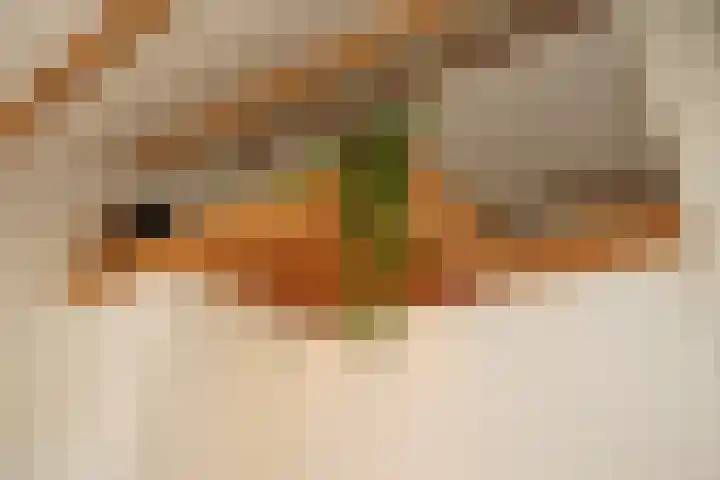 Ridderstraat 41 Sluis thumbnail 32