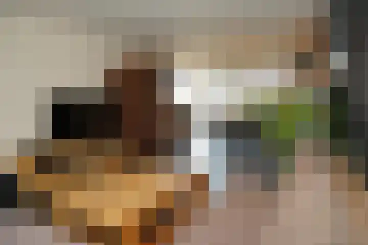 Ridderstraat 41 Sluis thumbnail 4