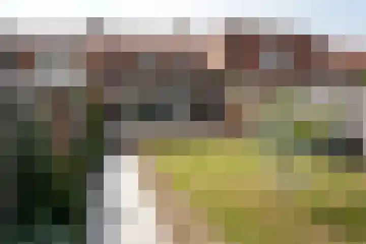 Ridderstraat 41 Sluis thumbnail 40