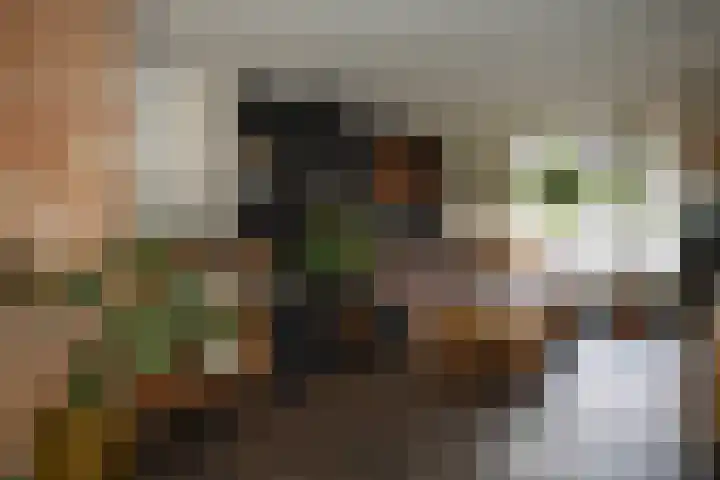 Ridderstraat 41 Sluis thumbnail 6
