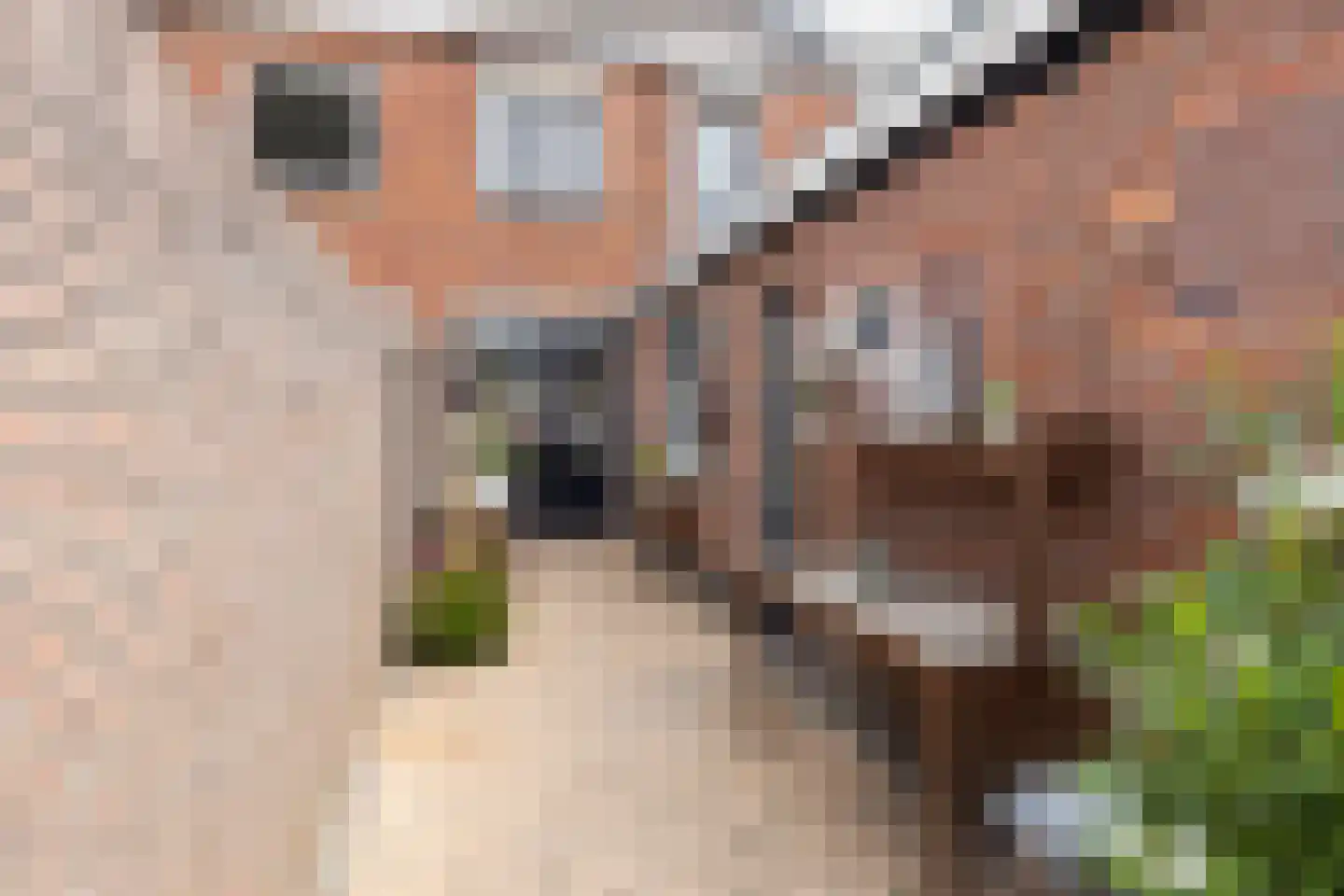 Ridderstraat 43 Tilburg thumbnail 39