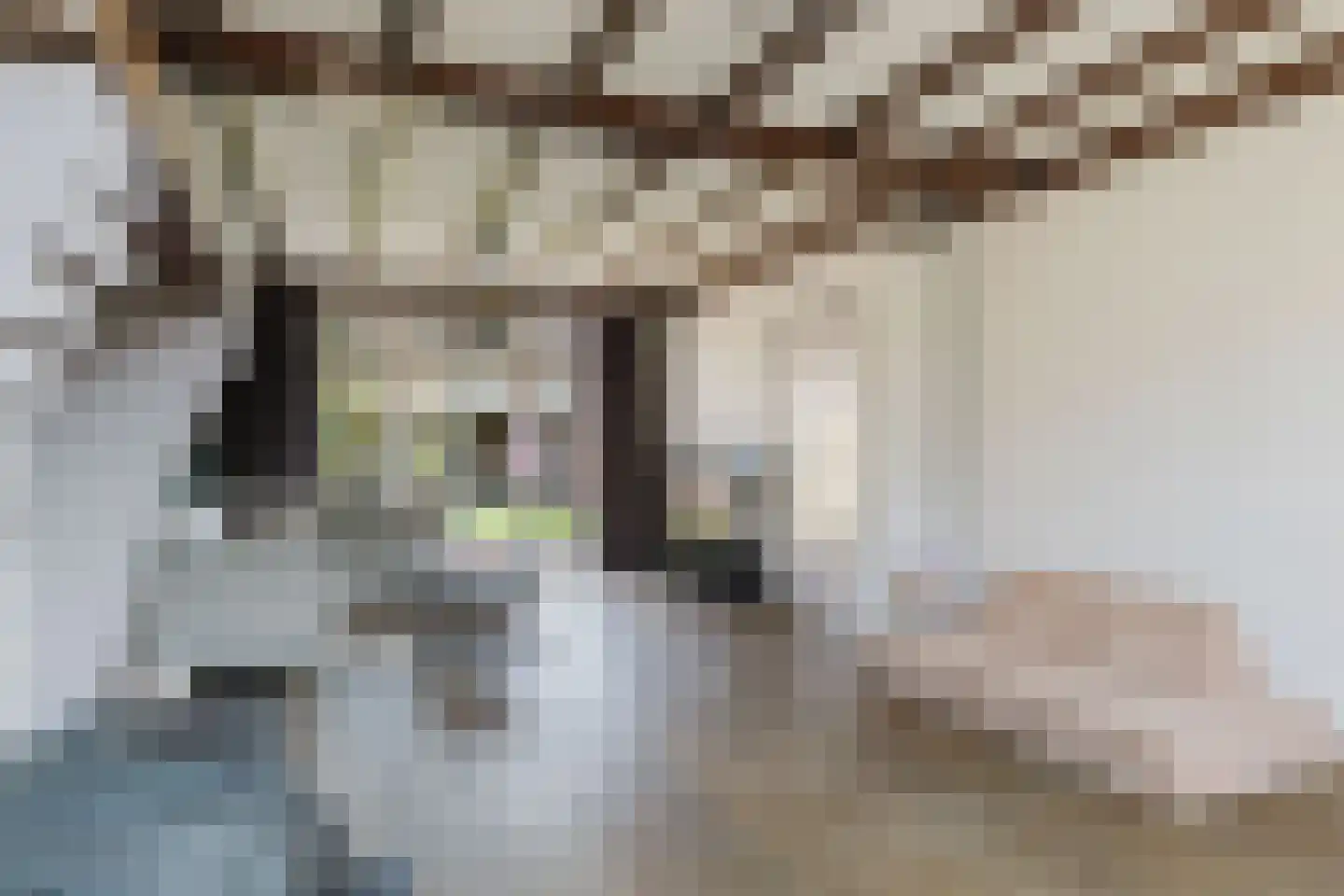 Ridderstraat 44 Gilze thumbnail 12