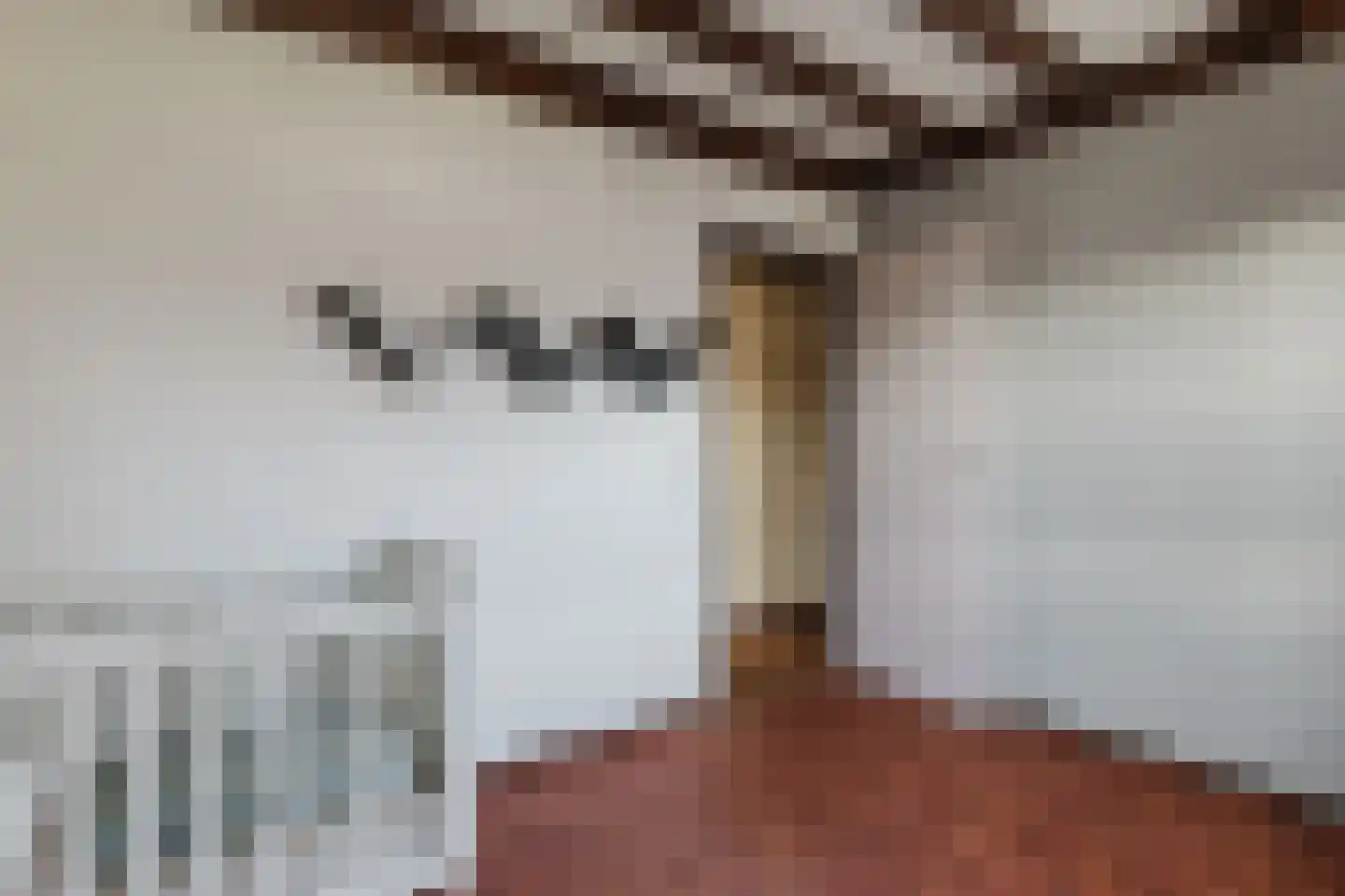 Ridderstraat 44 Gilze thumbnail 40