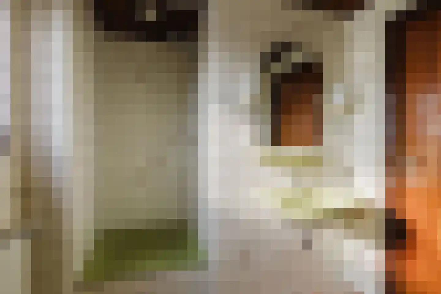 Ridderstraat 44 Gilze thumbnail 44