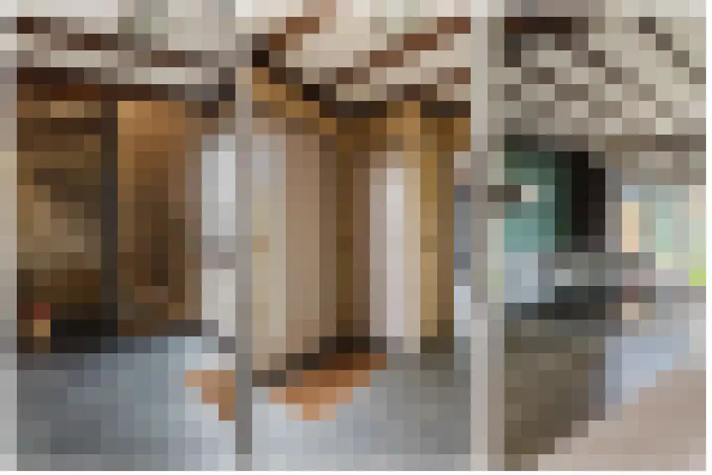 Ridderstraat 44 Gilze thumbnail 9