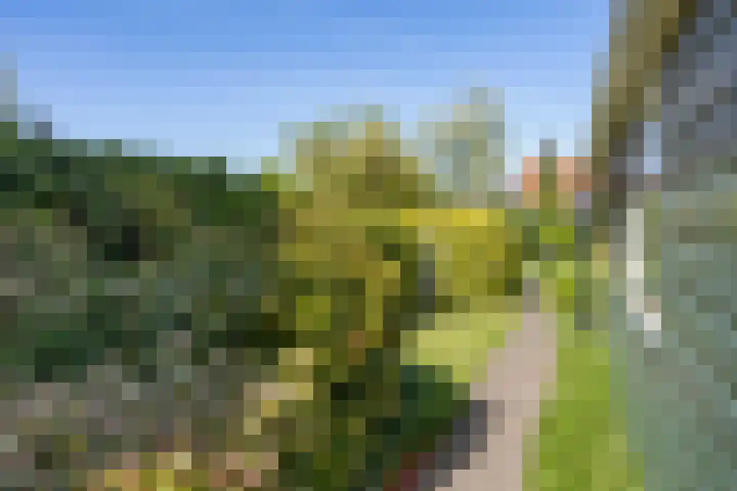 Ridderstraat 44 Hasselt thumbnail 26