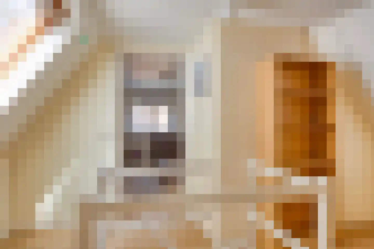 Ridderstraat 44 Hasselt thumbnail 35