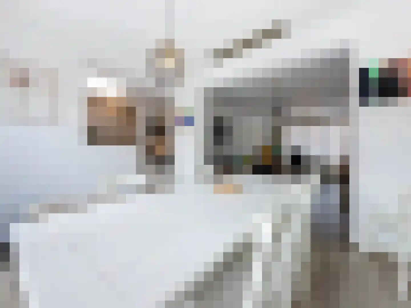Ridderstraat 45 Sluis thumbnail 11