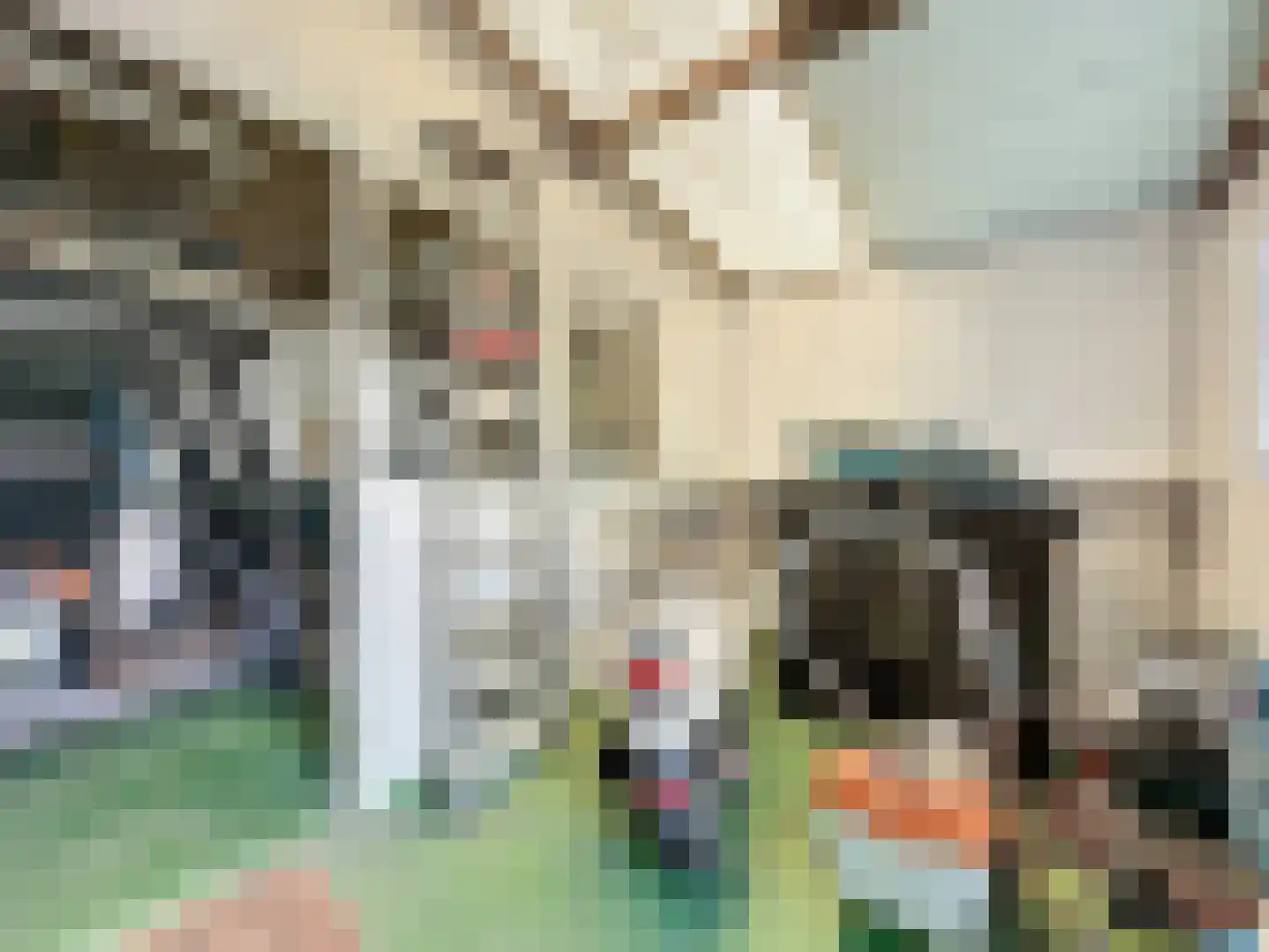 Ridderstraat 45 Sluis thumbnail 27