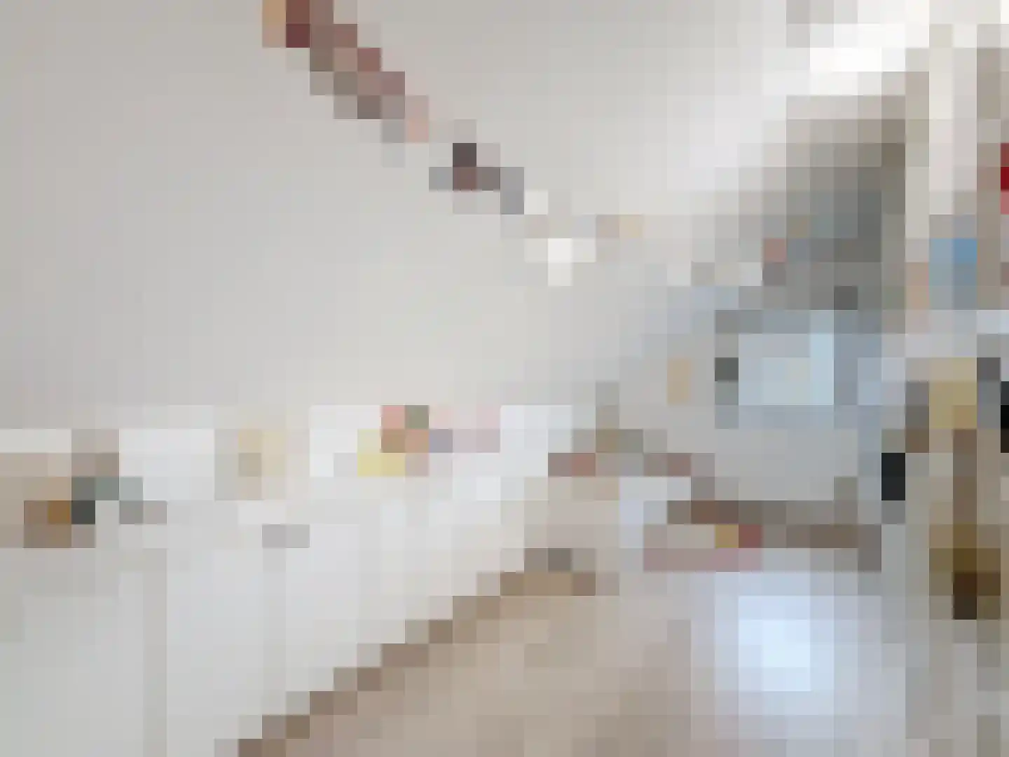 Ridderstraat 46 Sluis thumbnail 22