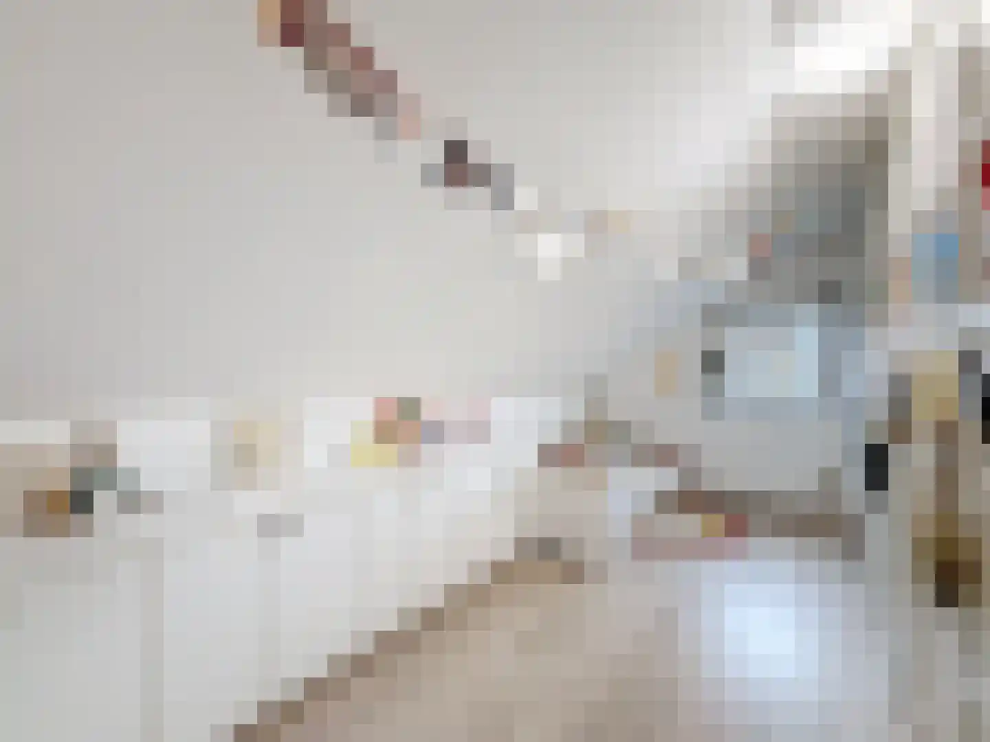 Ridderstraat 46 Sluis thumbnail 22