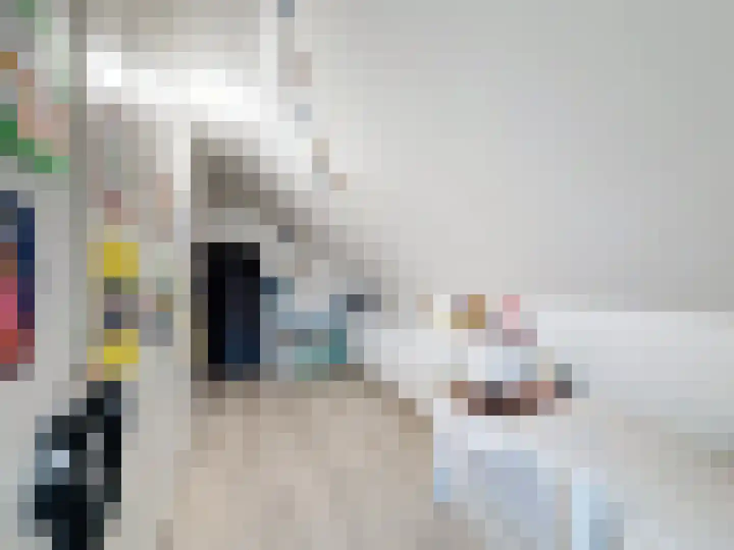 Ridderstraat 46 Sluis thumbnail 23