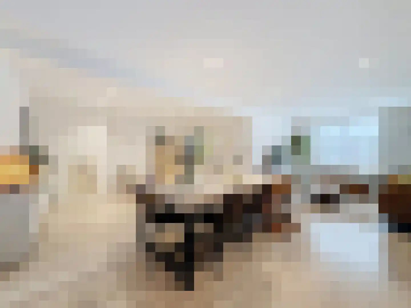 Ridderstraat 46 Sluis thumbnail 5