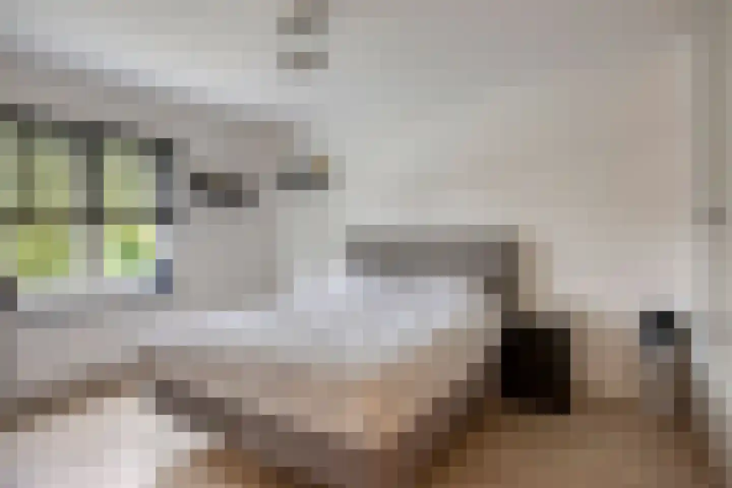Ridderstraat 47 Oss thumbnail 11