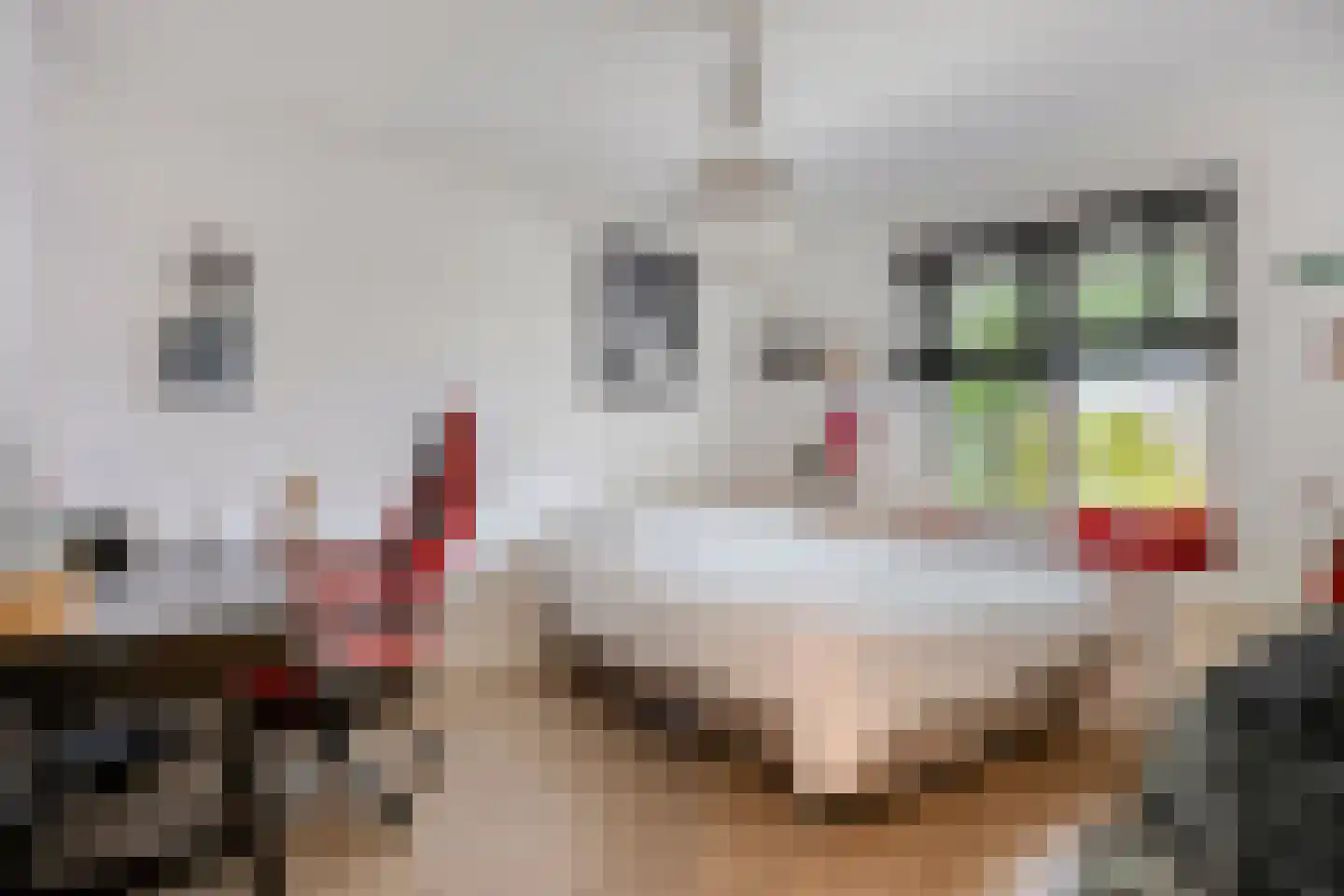 Ridderstraat 47 Oss thumbnail 12