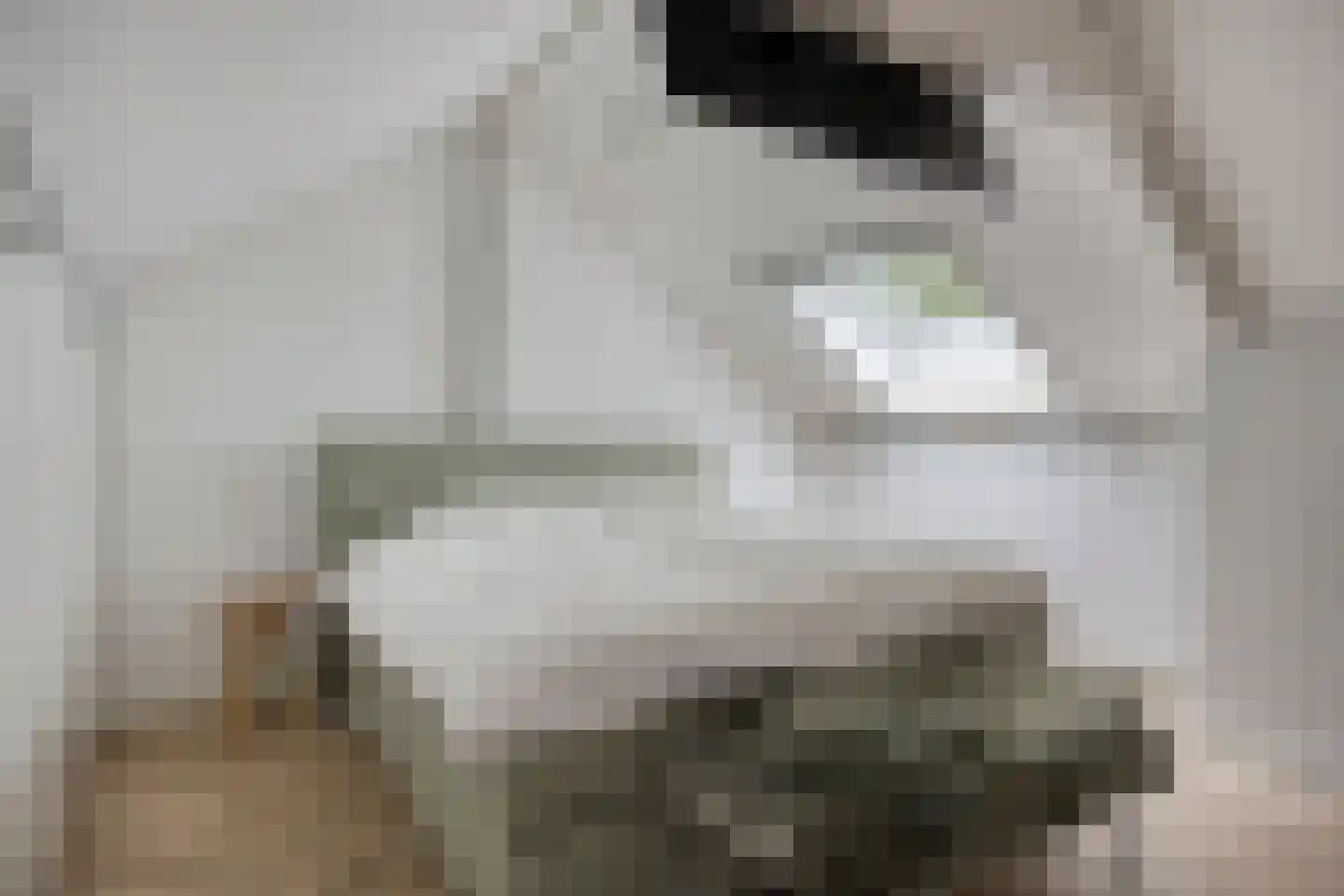 Ridderstraat 47 Oss thumbnail 17