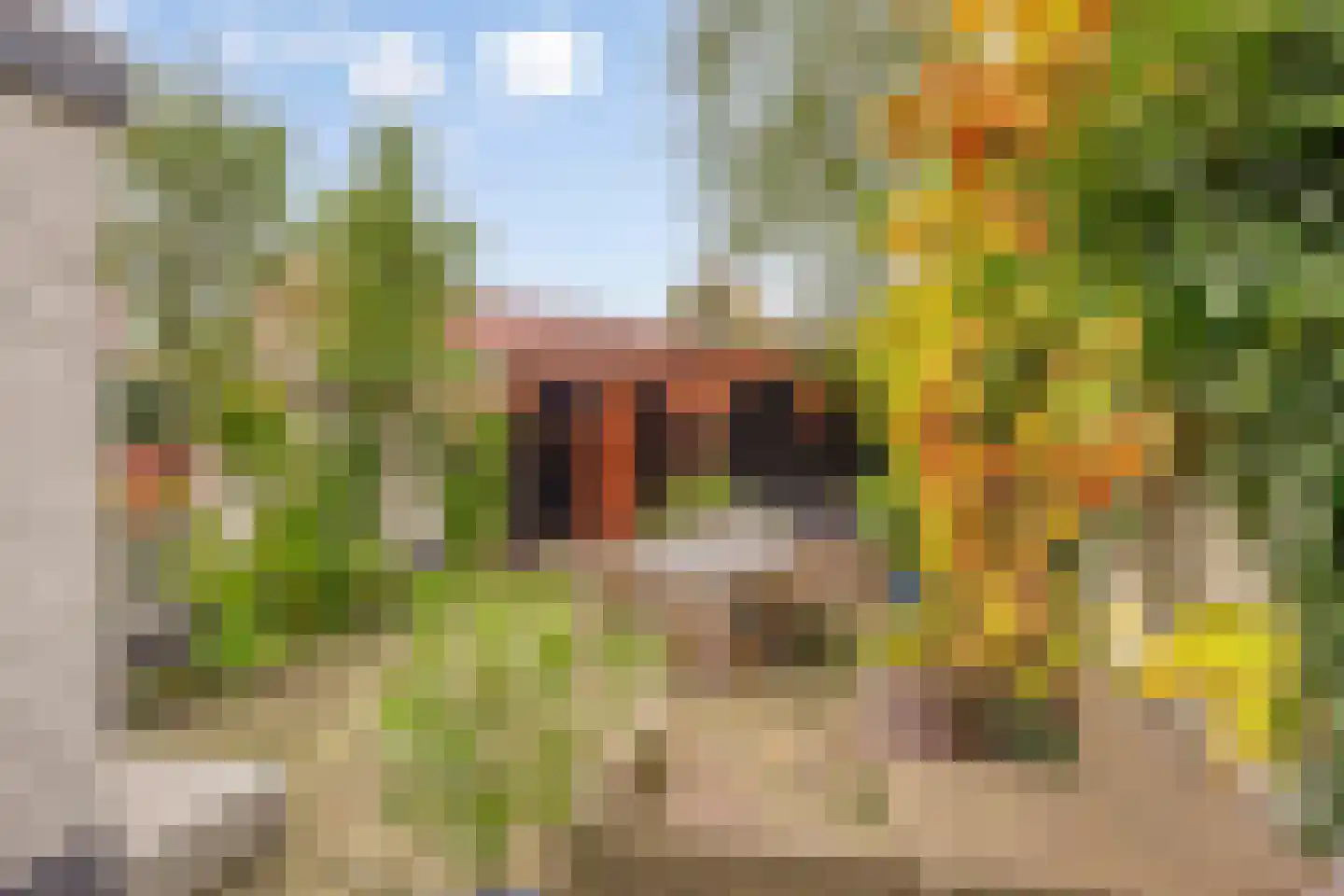 Ridderstraat 47 Oss thumbnail 18