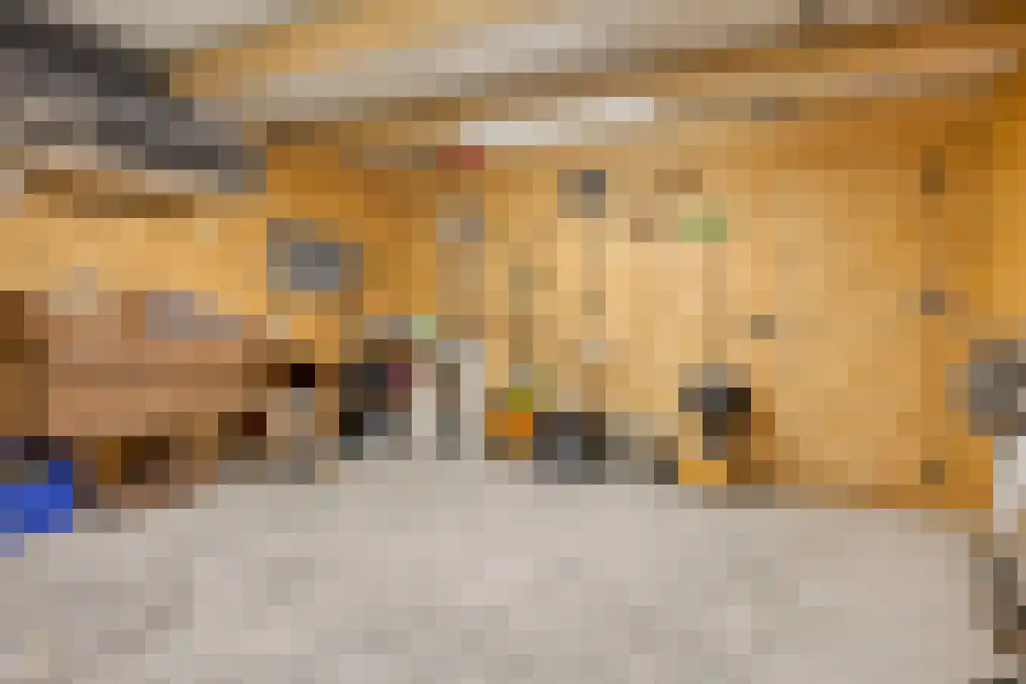Ridderstraat 47 Oss thumbnail 22