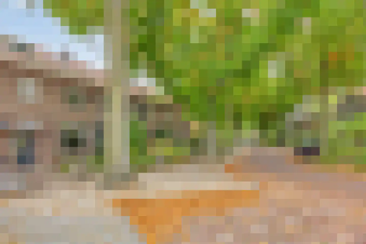 Ridderstraat 47 Oss thumbnail 24
