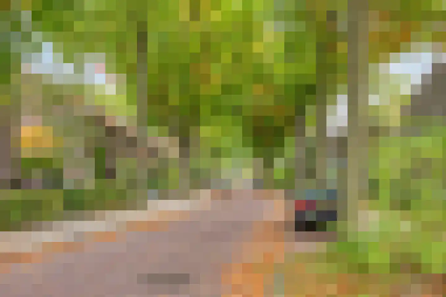 Ridderstraat 47 Oss thumbnail 25