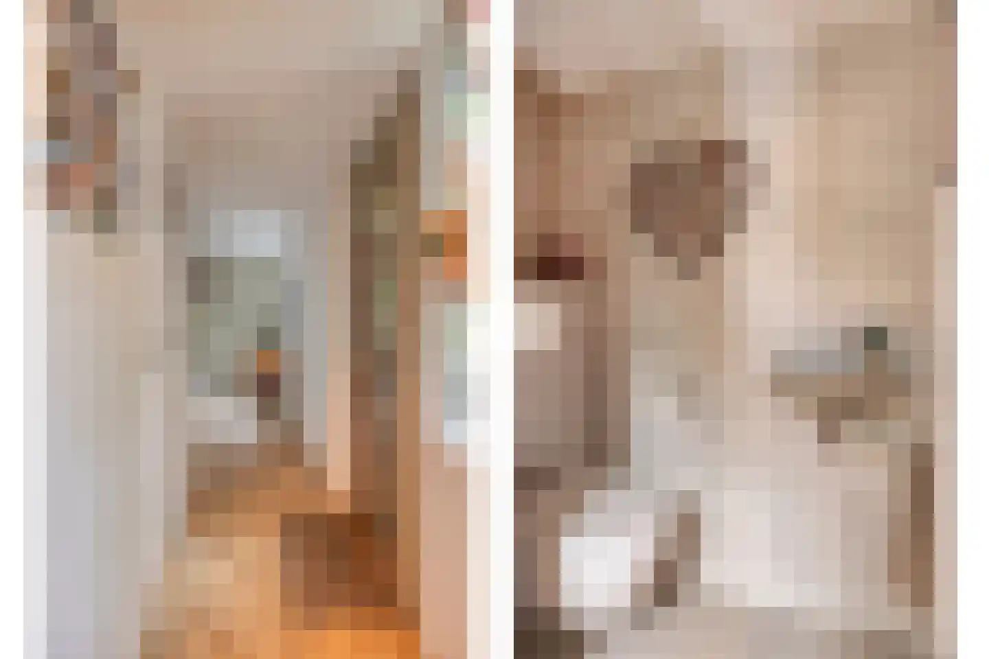 Ridderstraat 47 Oss thumbnail 9