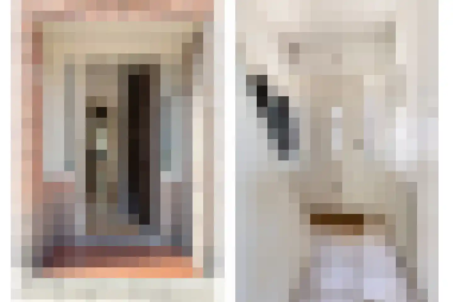 Ridderstraat 49 Tilburg thumbnail 15