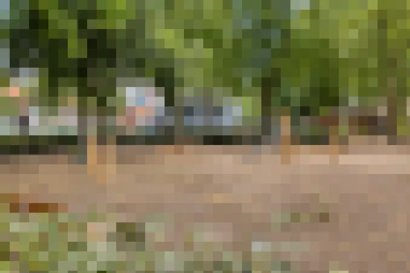 Ridderstraat 49 Tilburg thumbnail 33