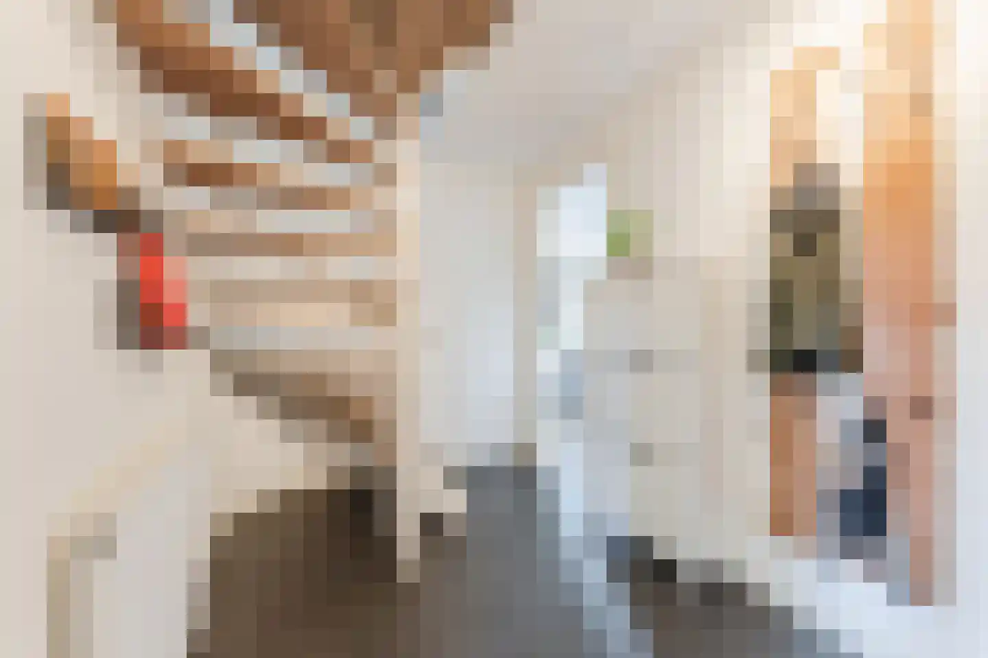 Ridderstraat 50 A Gilze thumbnail 5