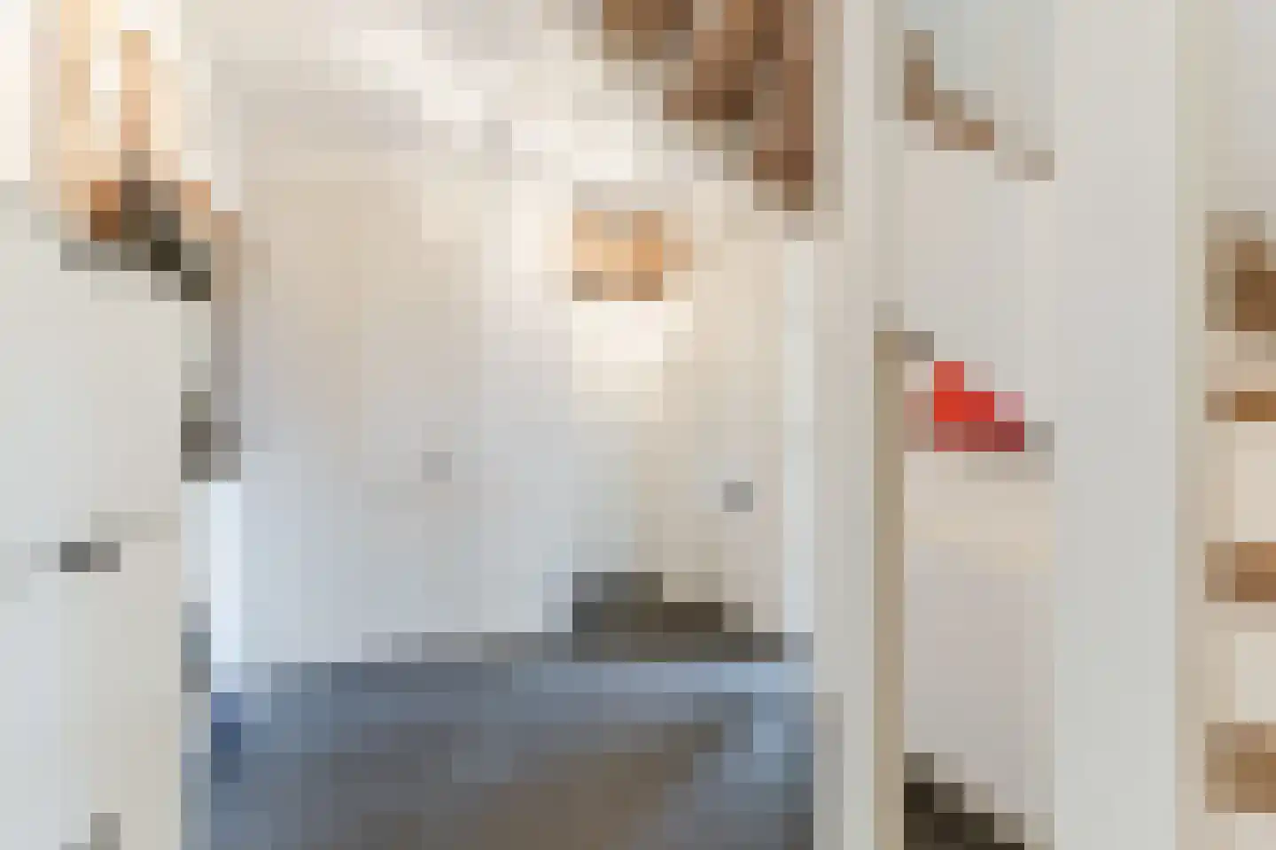 Ridderstraat 50 A Gilze thumbnail 6