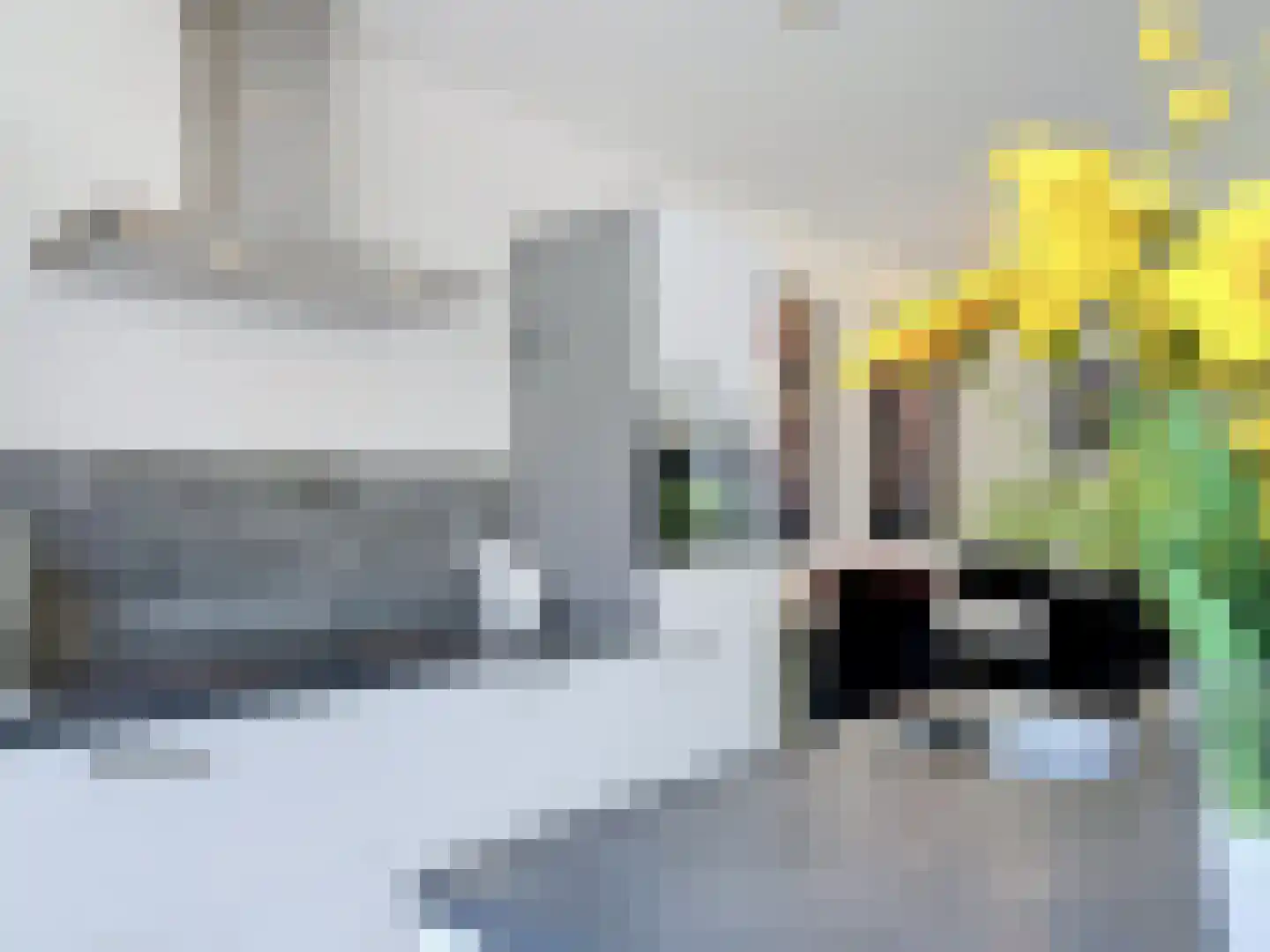 Ridderstraat 60 Sluis thumbnail 17
