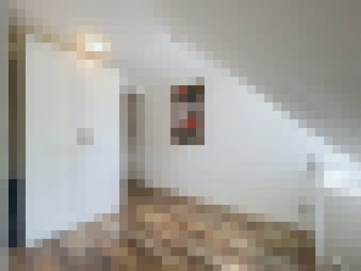 Ridderstraat 60 Sluis thumbnail 24