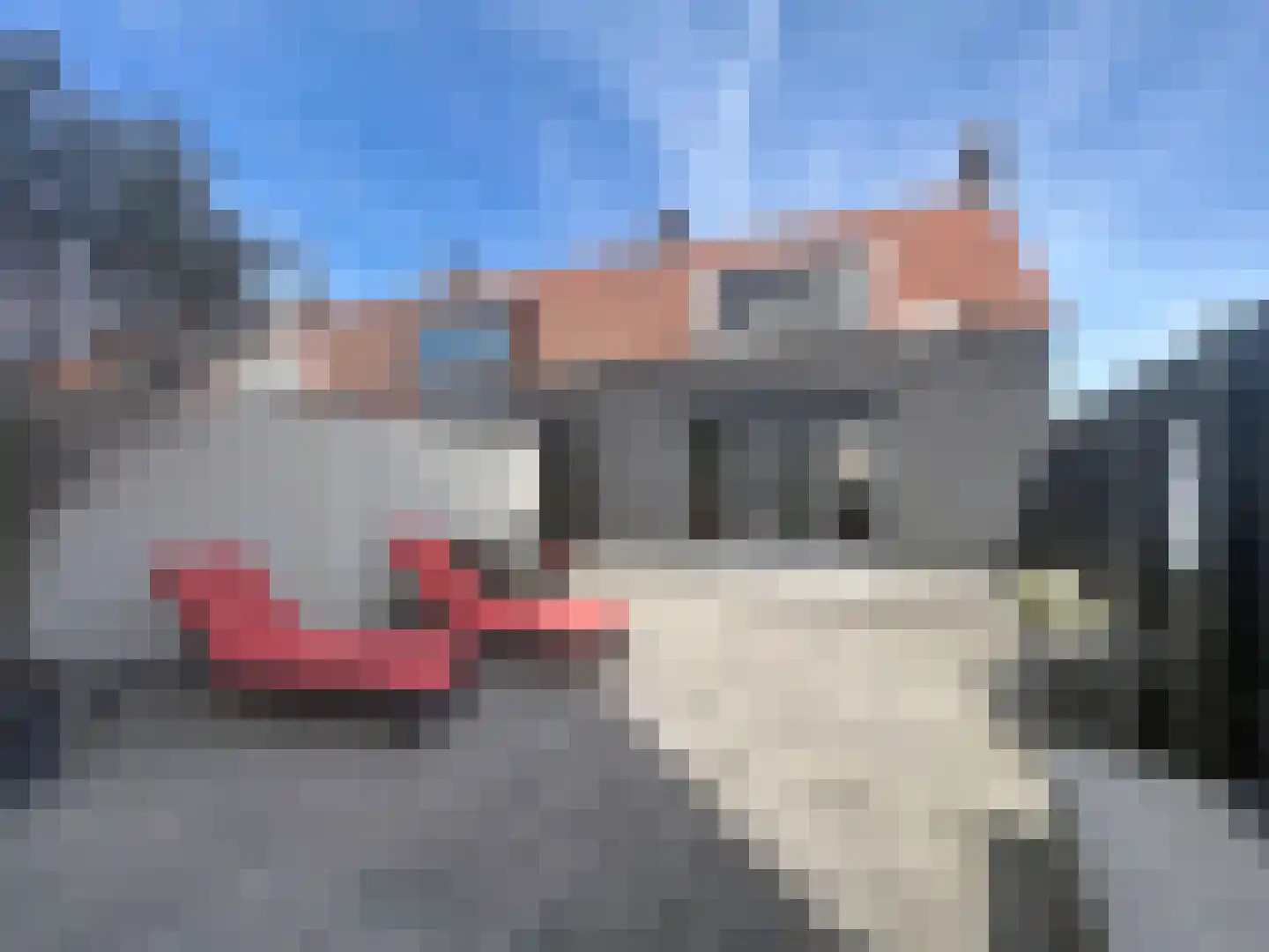 Ridderstraat 60 Sluis thumbnail 29