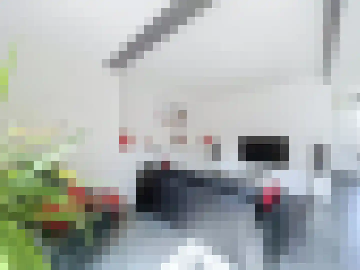 Ridderstraat 60 Sluis thumbnail 8