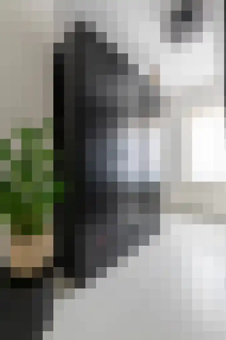 Ridderstraat 60 Tilburg thumbnail 13