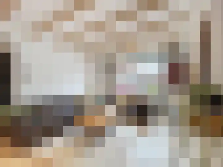 Ridderstraat 65 Sluis thumbnail 5